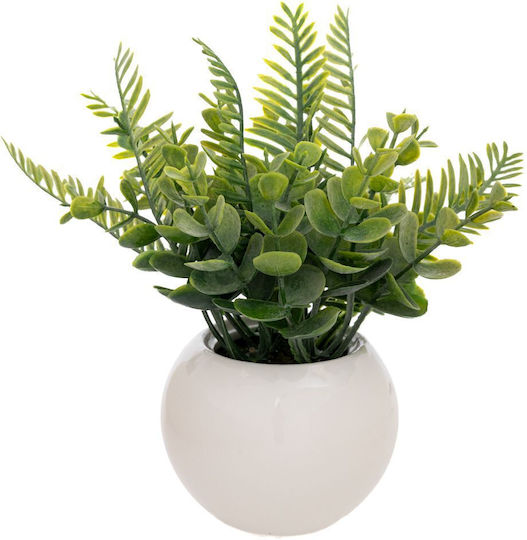 Plante Decorative 20 Cm Ghiveci Ceramic Alb Ø9x6 Cm Set 4 Bucăți Plante Decorative 20 Cm Ghiveci Ceramic Alb Ø9x6 Cm Set 4 Bucăți