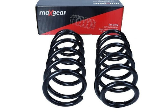 Primăvara Suspensiei Mic Țăran R60 Spate 2010 Ra7140