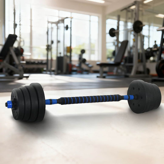 vidaXL Hantelset mit Stange Gesamtgewicht 30kg