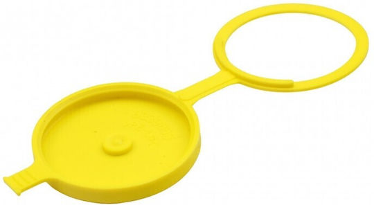 Capac Rezervor Ștergătoare Renault Maestru III 10 8200653879