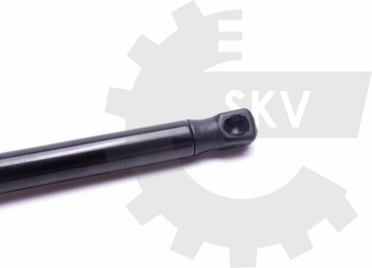 SKV Kofferraum-Schock Für Ford EcoSport Cn15n400a12ba