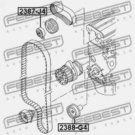 Timing Belt Pulley Audi A3 S3 Sportback Lim Qu 2004-2013 Rdw 036109244J