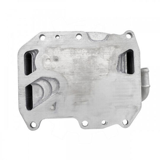 Radiator Cu Ulei Audi A4 A5 A6 A7 A8 Q5 Q7 Q8 VW Amarok Touareg 059117015k