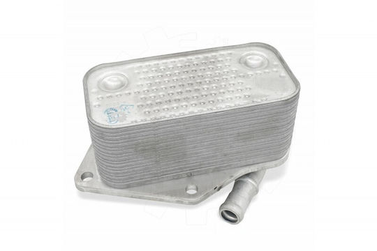Автомобилно Маслено Радиатор Vw Буболечка Голф Vi Джета Iii Iv 07k117021c