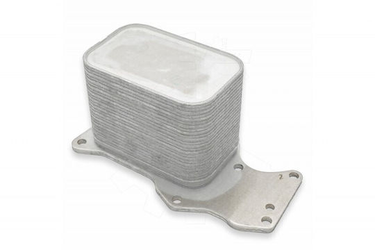 Bmw Öl Kühlschrank Für 1 2 3 4 5 7 X3 X4 X5 11428574005