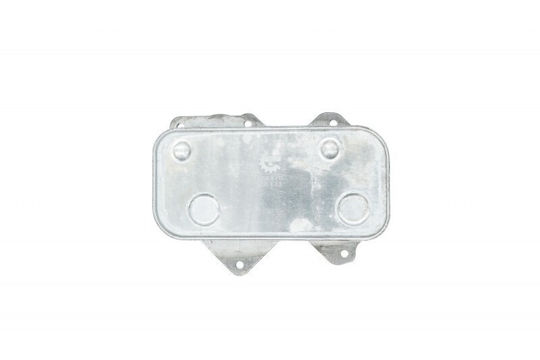Oil Cooler for Audi A6 C5 A8 D2 D3 VW Phaeton 077117021Q