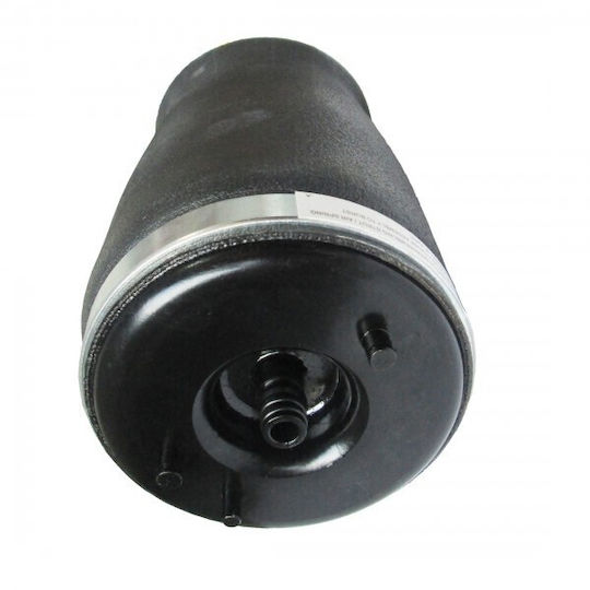 WRC Auto Parts Car Engine Mounts Air Suspension Cushion Rear Left for BMW 5 E39 Touring 37121094613