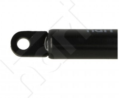 Αμορτισέρ Πίσω Πόρτας Citroën C3 03 10004215a