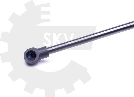 Amortizoare Portbagaj BMW 3 E46 Sedan Coupe 51244212802 51244212802