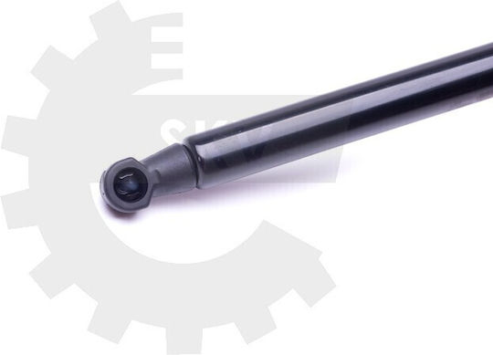 Amortizoare Ușa Spate Renault Laguna Iii 844300001r 844300001r