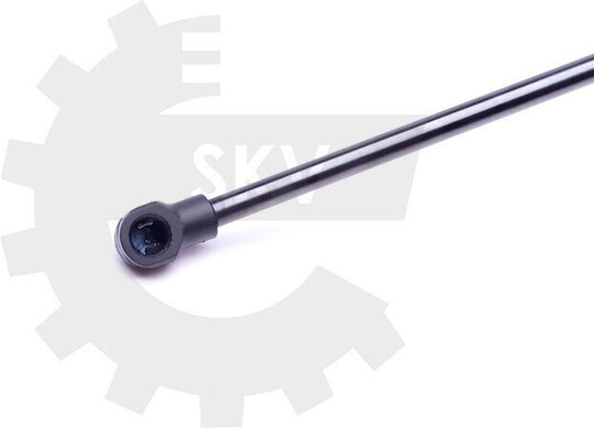 Amortizoare Ușa Spate Renault Laguna Iii 844300001r 844300001r