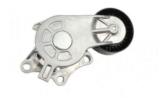 Fast Buds Auto Lichtmaschinen Spanner Micro-v Citroen Jumpy 16 Set 1.6 Blau Hdi
