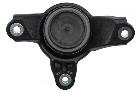 Motorhalterung Honda Accord 08-12 Acura Tsx 09 Automatik Hydraulisch