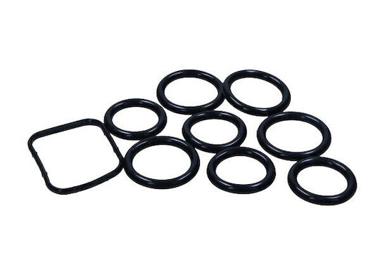 Set Garnituri Auto Evacuare Multipla Citroen 1,6d 0348r4