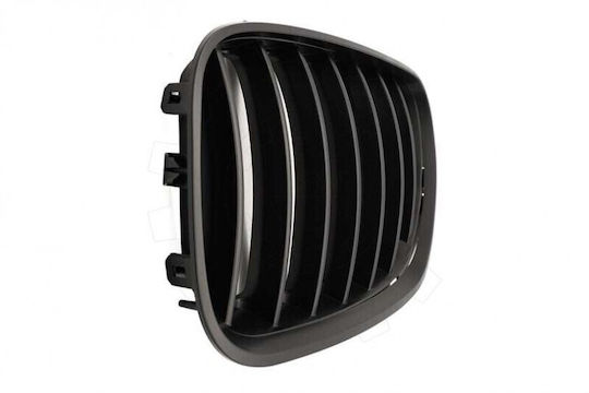 Mască Radiator BMW X5 E53 Facelift Set Stânga Sau Dreapta Bandă Unică Neagră Mat 51137124815