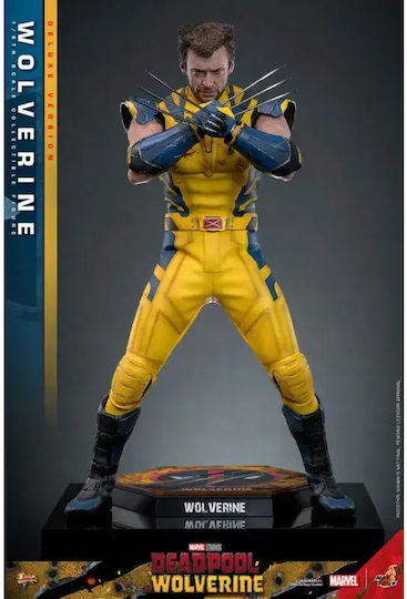 Hot Toys Marvel Deadpool Hot Toys Masterpiece Wolverine Action Figure Height 31cm in Scale 1:6