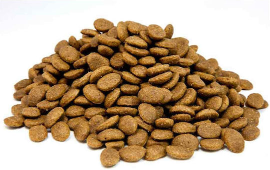 Laky Bono 20kg Dry Food for Adult Dogs with Poultry