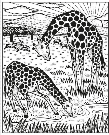 Anti-Stress Colouring Book Wild Animals Magic Painting Book