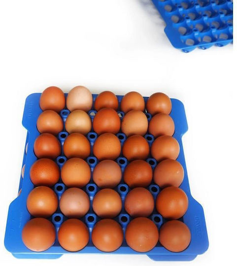 Satz 4 Stück Tabletts Lagerung 30 Eier Gn 2/3 290x290x40mm 73056 Araven
