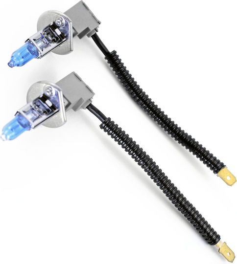 Lămpi Auto Halogen 5000K Alb Rece 12V 55W 2 Bucăți