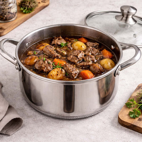 Cheffinger 20cm 3l Pot Non-stick Honeycomb Coating Lid Silver