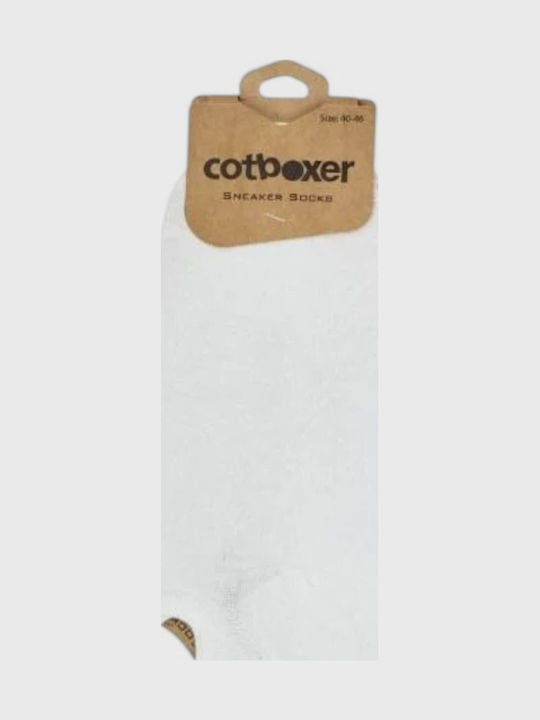 Cotbox Men's White Socks