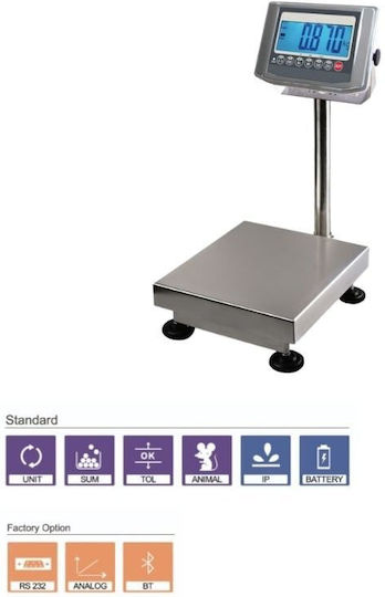 T-Scale Platform with 600kg Weighing Capacity and 100gr Accuracy