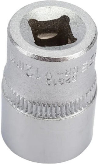 Rockforce Socket With Frame Host 1/4" Diameter 1/4" / 12
