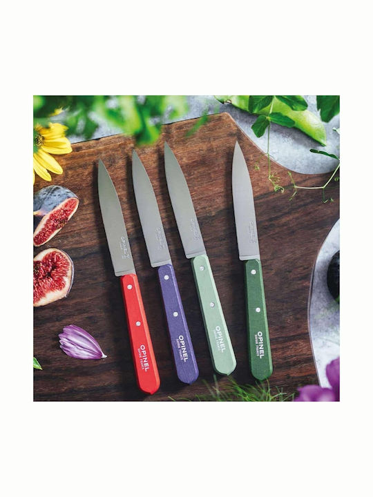 Cuțite de Bucătărie 10 Cm Set 4 Bucăți No 112 Paysage