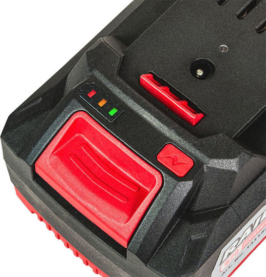 Raider R20 Rechargeable Battery Set 20 V 2x4 Ah Rdp-r20 System