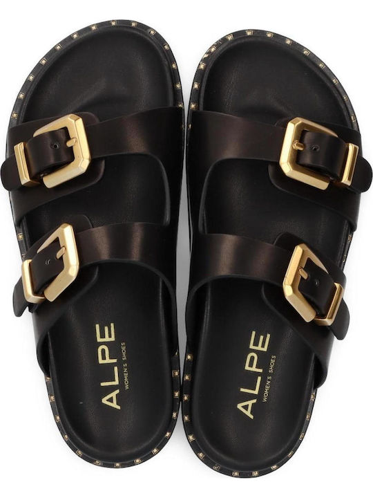 Alpe Alpe