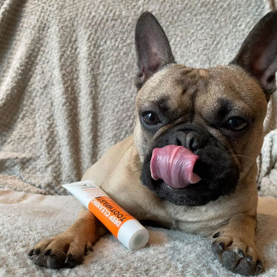 Dog's Life Complete Комплект за Устна Хигиена на Кучета
