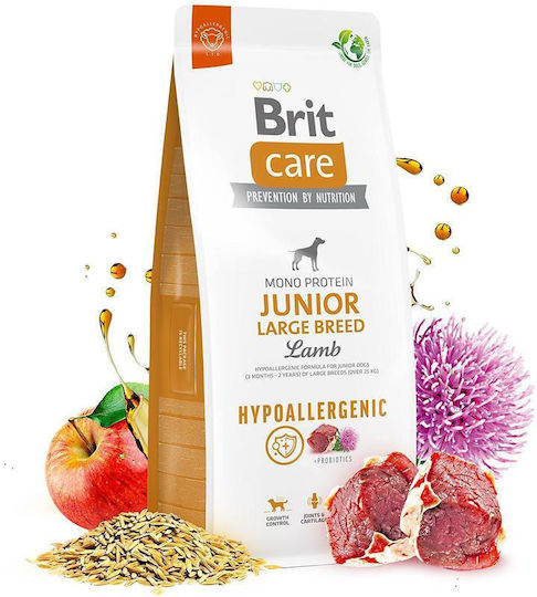 Brit Care Junior Large Breed Hypoallergenic 3kg Dry Food Gluten-Free for Large Breed Puppies with Lamb