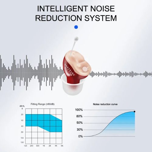 Laiwen T25 Digital CIC Hearing Aid for Right Ear 1801684
