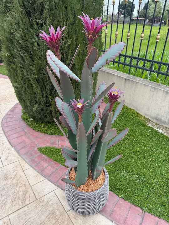 Τεχνητός Κάκτος Παγώνι Epiphyllum 140cm Μοντέρνα Γλάστρα Eva Τεχνητός Κάκτος Παγώνι Epiphyllum 140cm Μοντέρνα Γλάστρα Eva