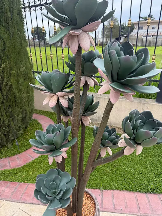 Cactus Artificial 150cm Ghiveci Modern Eva