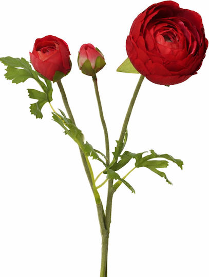 Buttercup Flower Red Blooms 10x5x51cm Solid Colour Kaeming Buttercup Flower Red Blooms 10x5x51cm Solid Colour Kaeming