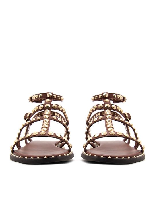 Ash Precious 03 Sandale Casual Damă Gladiator Maro Din Piele