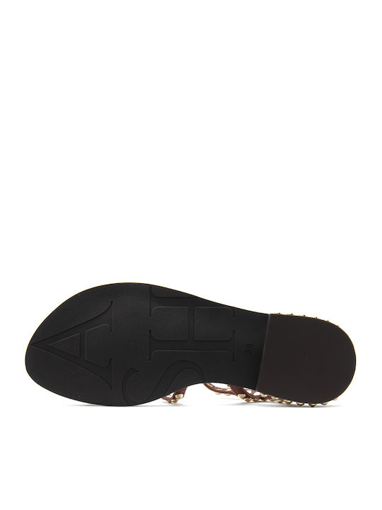 Precious 03 Leather Women's Flat Sandals Gladiator Brown