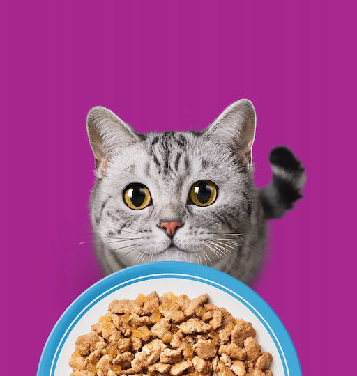 Whiskas Hrană Umedă pentru Pisici cu Pește 80x85gr