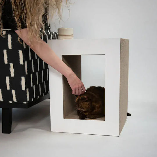 2in1 Cat House Hoopo White