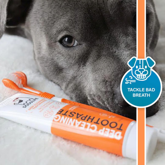 Dog's Life Deep Cleaning Toothpaste for Dogs Against Tartar & Plaque