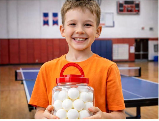 Set Ping Pong Balls 60 Pieces White Storage Case Aria Trade