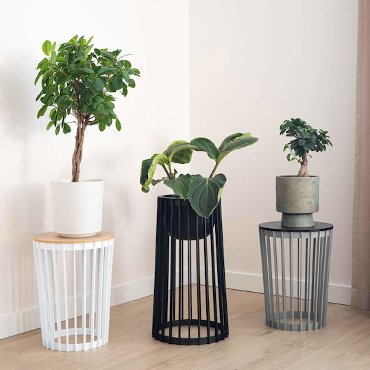 Standing Flower Pot Stand Loft Double-sided Black 53.5 Cm + Insert