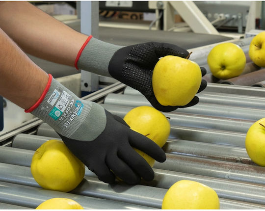Nitrile Gloves Dotted Cofra Phoenix Fit