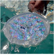 Oxygon Lumină Piscină cu Lumină Alb Rece 105.01.34
