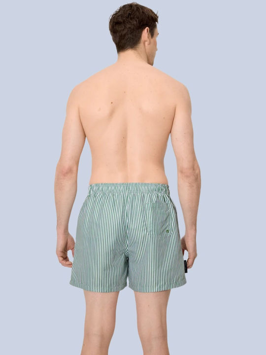 Men's Swimwear Shorts Green Striped