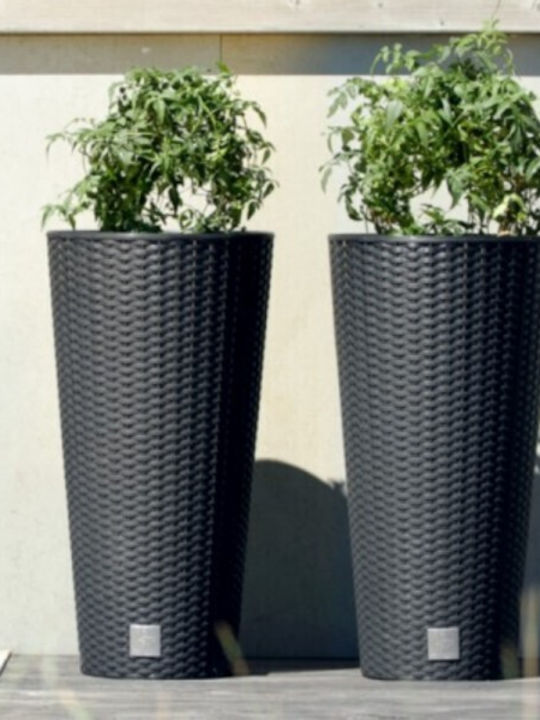 Prosperplast Rato Tubus DRTUS300 Κασπώ Rattan Λευκό