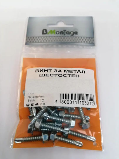 Bmontage Метален Винт с Диаметър M5.5 и Дължина 50mm 10 Бройки