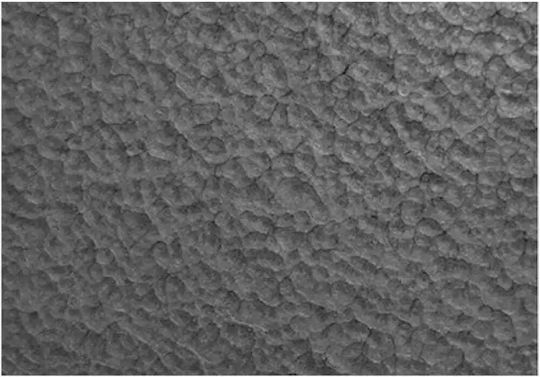 Alkyd Paint 3 In 1 Dekorator